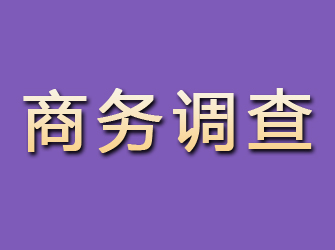 安康商务调查